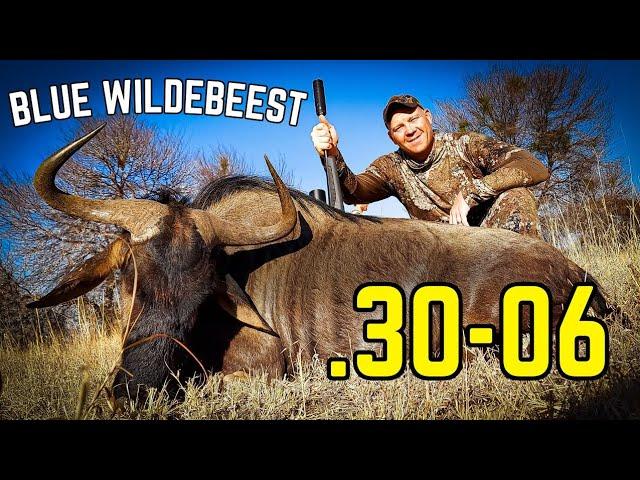 .30-06 vs Wildebeest [DROPPED with Perfect Shot Placement]