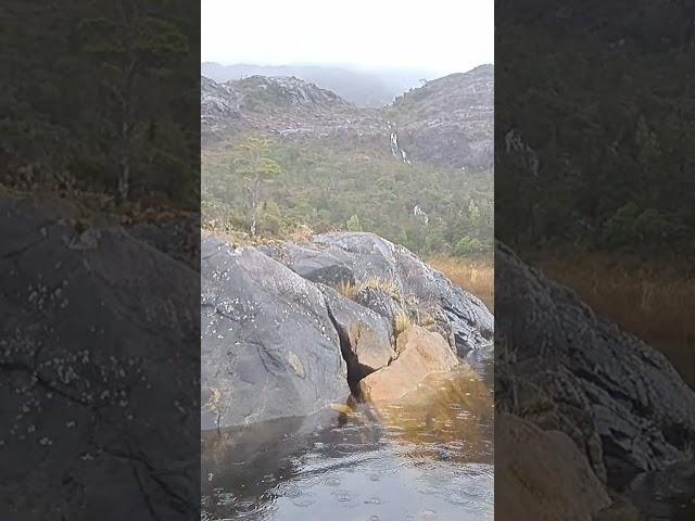 Sights and sounds of Patagonia (video 4) #sailing #sailingadventure