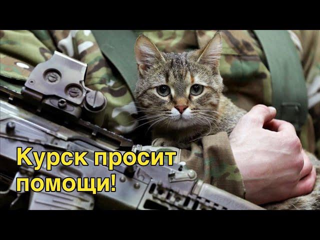 Не про орхидеи - нужно быстренько решить вопрос!