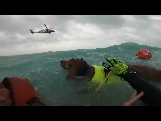 Coast Guard rescues man and dog during Hurricane Helene