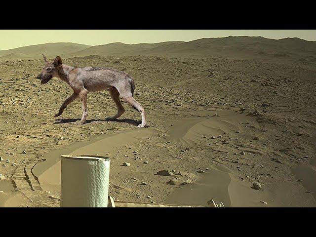 Mars News today | Rover Recently Uploaded by Stunning Video | Mars Video Footages |  Mars 4k Video