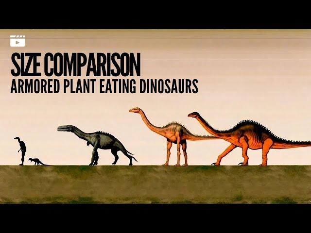 Size Comparison Of Armored And Giant Plant Eating Dinosaurs