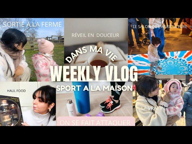 On se fait attaquer  en direct !!, Haul food, Sport à la maison,Motivation,Routine..| WEEKLY VLOG