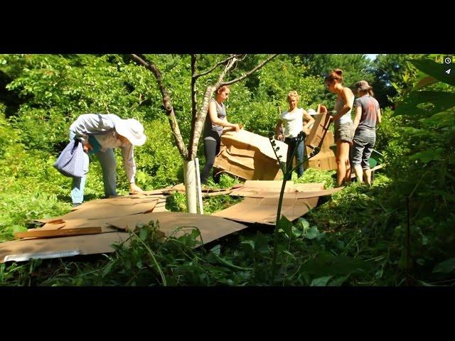 Sowing Solutions Permaculture Design Certification Course in Western MA