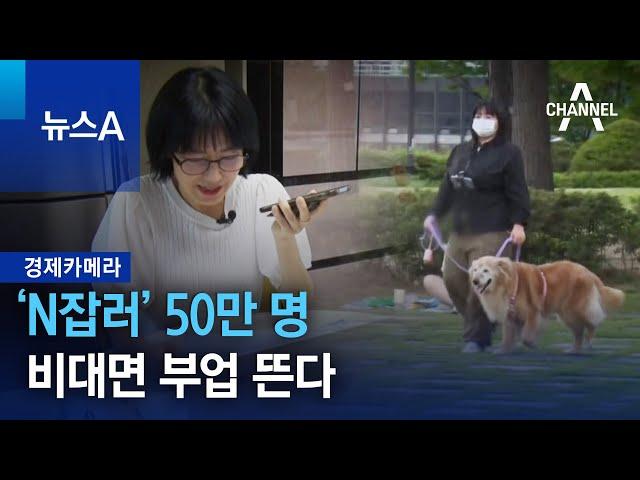 [경제카메라]‘N잡러’ 50만 명…비대면 부업 뜬다 | 뉴스A