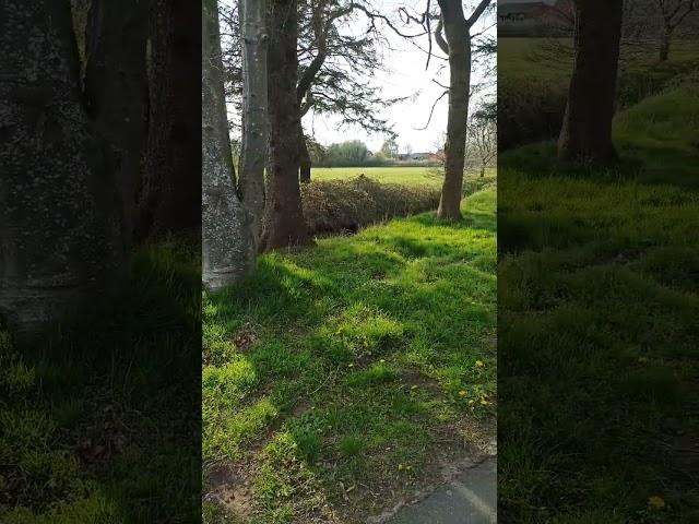 #danmark