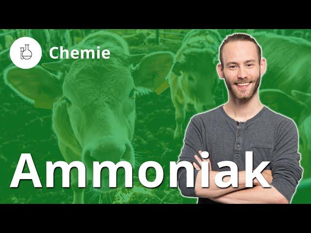 Ammoniak: die besondere Base – Chemie | Duden Learnattack