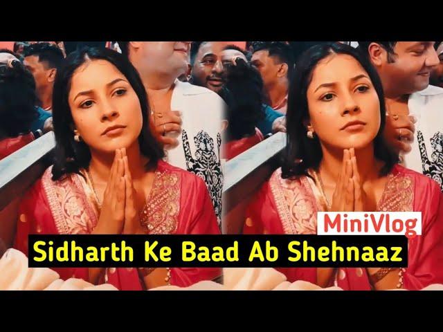 Shehnaaz Gill Minivlog, Sidharth Ke Baad Kar Rahi Hain Kaam Ko Pura | Trending World Salman