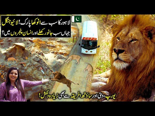 Exploring The Live Zoo of Pakistan | Safari Park Lahore | Best Experience Of Wildlife | 50 Minutes