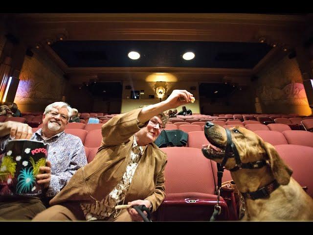 Happy dogs: Lucky pups take in a show at Modesto’s State Theatre