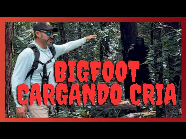 BIGFOOT CARGANDO CRIA, ESTUVIMOS ASÍ DE CERCA