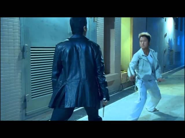 Epic Fight - Kill Zone S.P.L. / Donnie Yen Vs Wu Jing