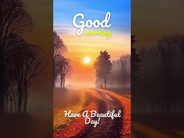 good morning