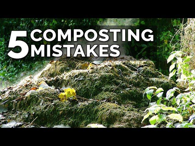 5 Hot Composting Mistakes to Avoid