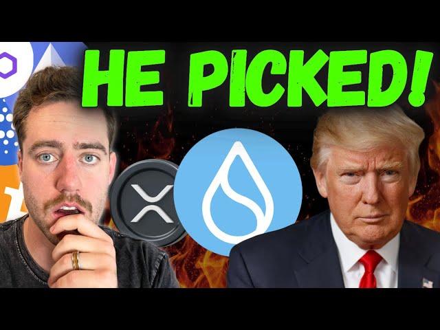 BIG MOVES THE DAY BEFORE THE WHITE HOUSE CRYPTO SUMMIT! (TRUMP PICKS SUI!?)