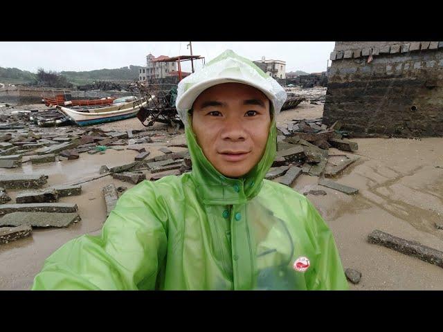 烽嫂一句话，阿烽独自冒雨去海边捡一种海鲜，烽嫂说太好吃了