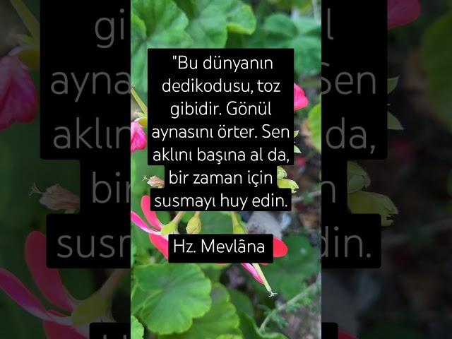 Allah'ım, bizi gerektiğinde susmayı huy edinmiş kullarından eyle.Âmin. #amin #keşfet #ayet #dua