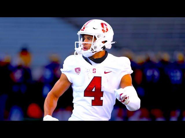 Michael Wilson Ultimate Stanford Highlights  || HD