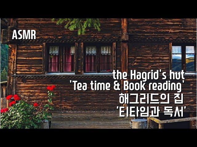 Harry Potter ASMR I 'Tea time & Book reading in the Hagrid’s hut'