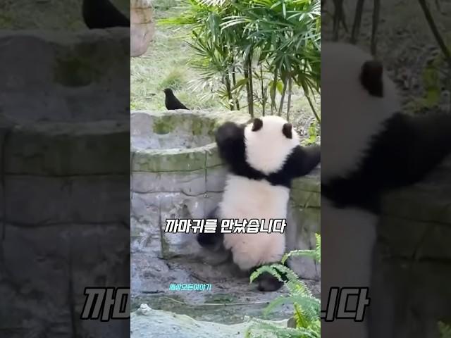 첫만남은 너무 어려워‍⬛‍⬛