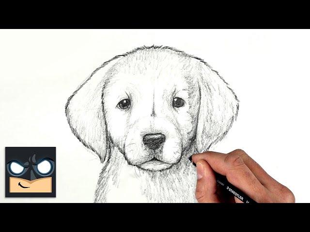 How To Draw a DOG | GOLDEN LAB PUPPY | Sketch Saturday
