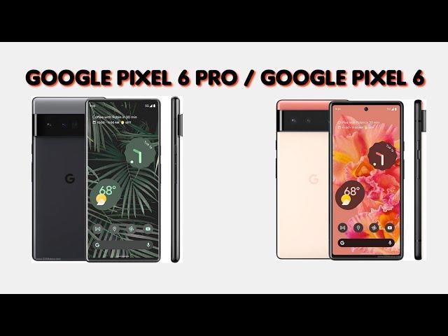 Difference Between google pixel 6pro and pixel 6 ||Info-Mobile ||# pixel6 #pixel6pro