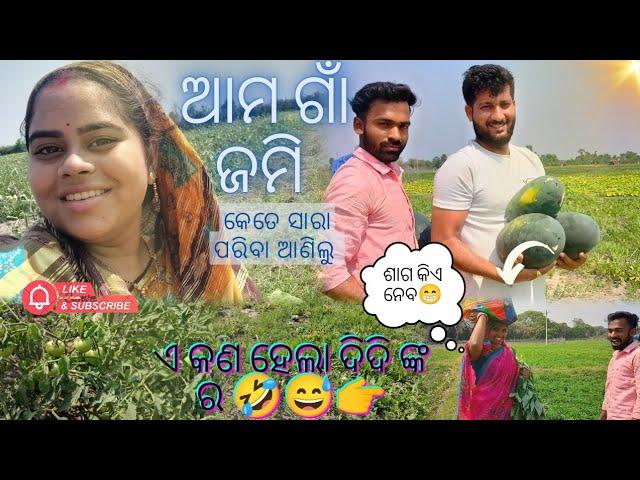 Pratham thara gali Sasu ghara Gaon Jami buliba ku ️ #village #farming#youtube#daliyvlog