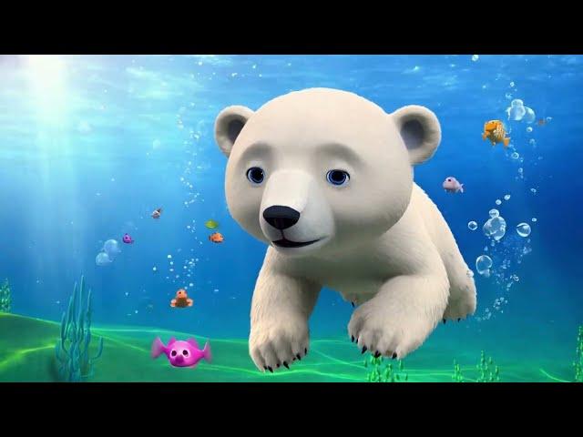 Polar Bear  Song #kids #kindergarten #polarbear #toddlersong #wildlife #kidsfunsong #nurseryrhymes