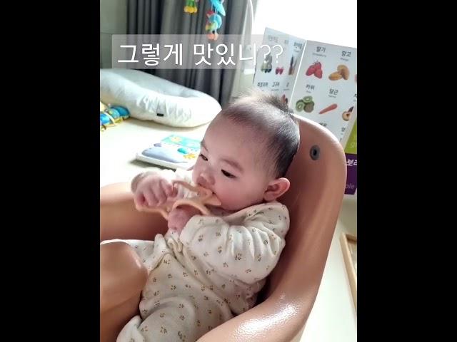 5개월 해솔 치발기 먹방