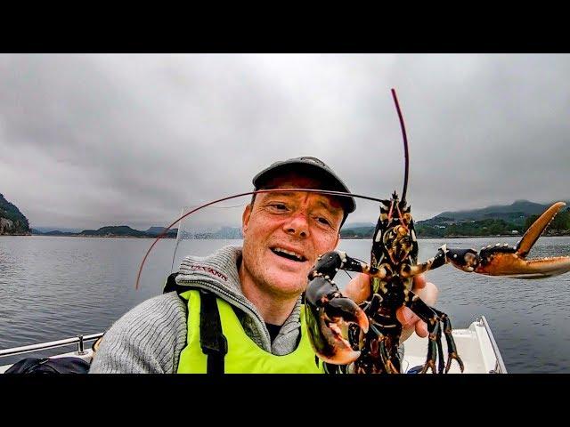 2 brothers fishing and camping Norway. CONGER EEL | MONKFISH | LOBSTERS and much more