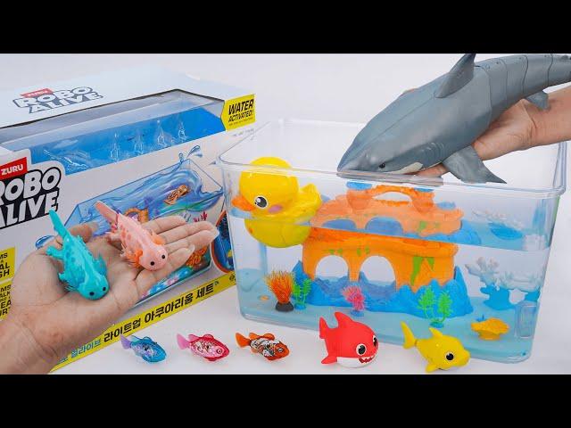 [Toy asmr] Baby Shark & Zuru Robo Fish & Aquarium Playset & RC Shark ASMR Satisfying with Unboxing
