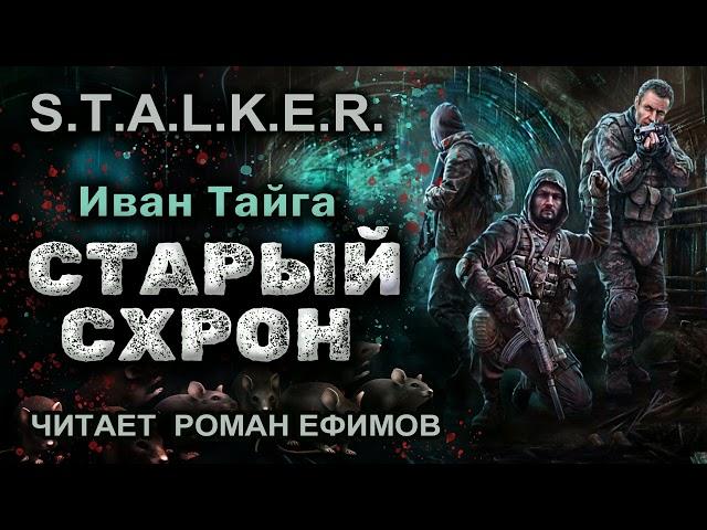 S.T.A.L.K.E.R. Старый схрон (аудиокнига). БОЕВАЯ ФАНТАСТИКА. Иван Тайга. Читает Роман Ефимов.