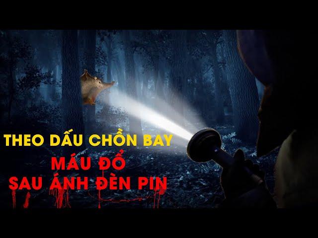 Điều tra: Cuộc truy lùng chồn bay, cheo cheo giữa rừng Cát Tiên | Kỳ 2: Sự thật sau tiếng súng đêm