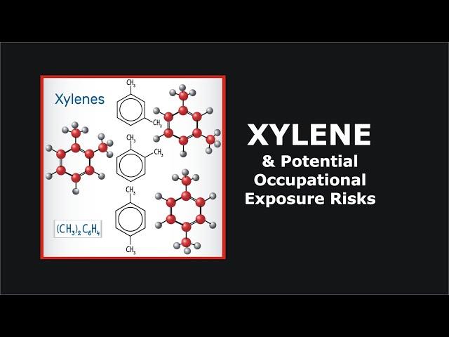 Xylene and Potential Occupational Exposure Risks