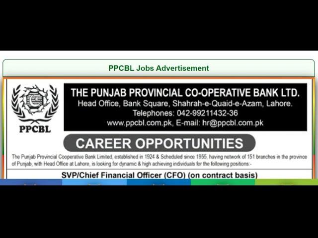 ppcbl Career 2023 - Punjab Provincial Cooperative Bank Jobs 2023