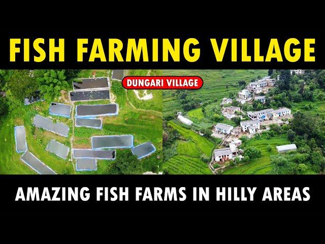 Fish Farming in Hilly Areas | Fisheries Department, Pithoragarh | Dungri village | Biofloc Fish Farm