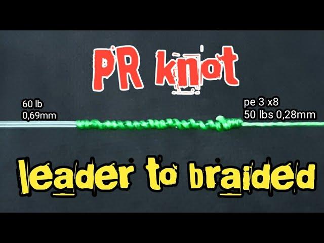 Fishing knots : PR KNOT without BOBBIN very easy 》Braid To Leader