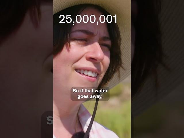 25M People at Risk: Lake Mead's Water Crisis Explained