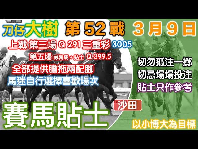 賽馬貼士 第52戰 3月9日 刀仔大樹香港賽馬貼士頻道 赛马贴士