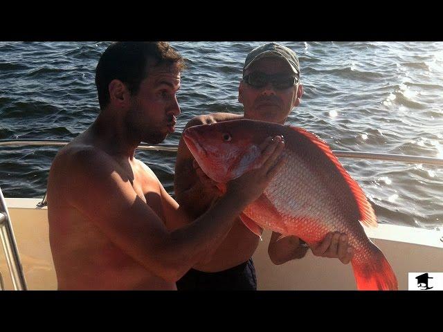 Fishing For Red Snapper In The Gulf of Mexico