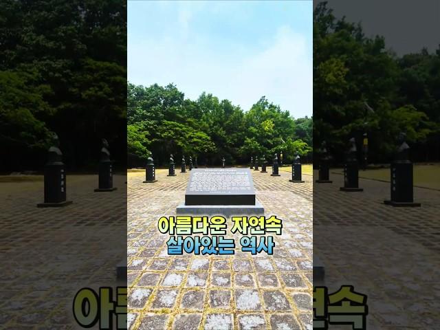 고운 최치원부터 영남학파 대가까지! 함양을 빛낸 선비들의 발자취 #함양상림공원 #역사인물공원 #함양여행 #경남여행 #역사탐방 #선비의고장