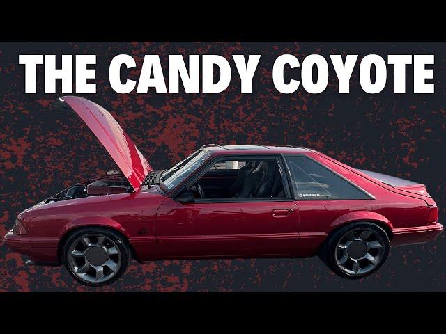 Candy Red Coyote Swap Foxbody