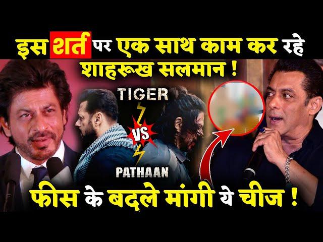 Tiger Vs Pathaan: Shahrukh Khan And Salman Khan To Get  _% Profit Share? Here's What We Know