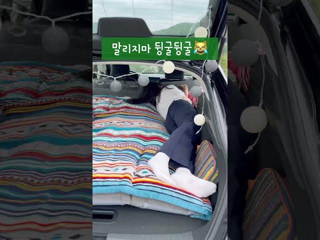 소형suv에서도 차박 될까? #shorts