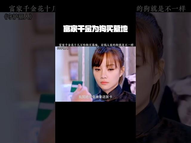 富家千金花十几万给狗买墓地，有钱人家的狗就是不一样 #守护丽人 #李小璐 #张译