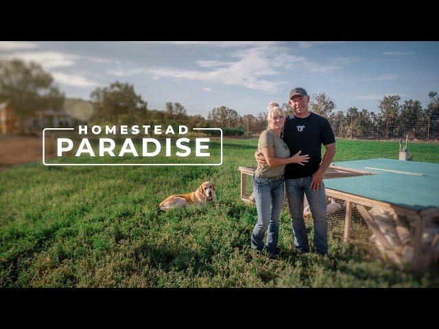 9 Years of "Simple Living" Building a Homestead Paradise | PARAGRAPHIC