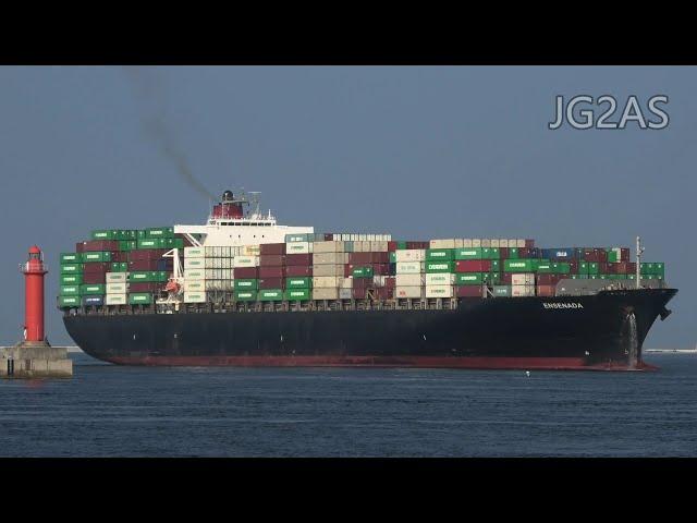 Shipspotting Japan - MV ENSENADA コンテナ船 Container ship 大阪港 OSAKA 2020AUG 4K