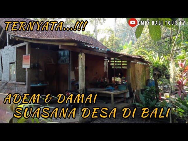 Suasana Kampung / Desa di Bali nyaman dan adem | Bali country side