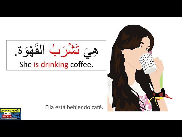 100+ Examples of Common Verbs in Arabic + English & Spanish Subtitles-Learning Arabic With Angela