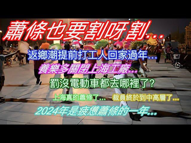 蕭條也要割呀割…返鄉潮提前打工人回家過年…養樂多關停上海工廠…罰沒電動車都去哪裡了÷上海真的蕭條了…裁員終於到中高層了…2024年是疲憊蕭條的一年…